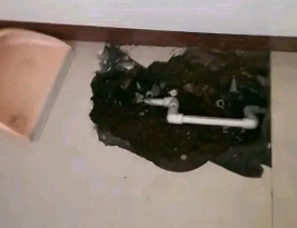 广州卫生间测漏水多少钱